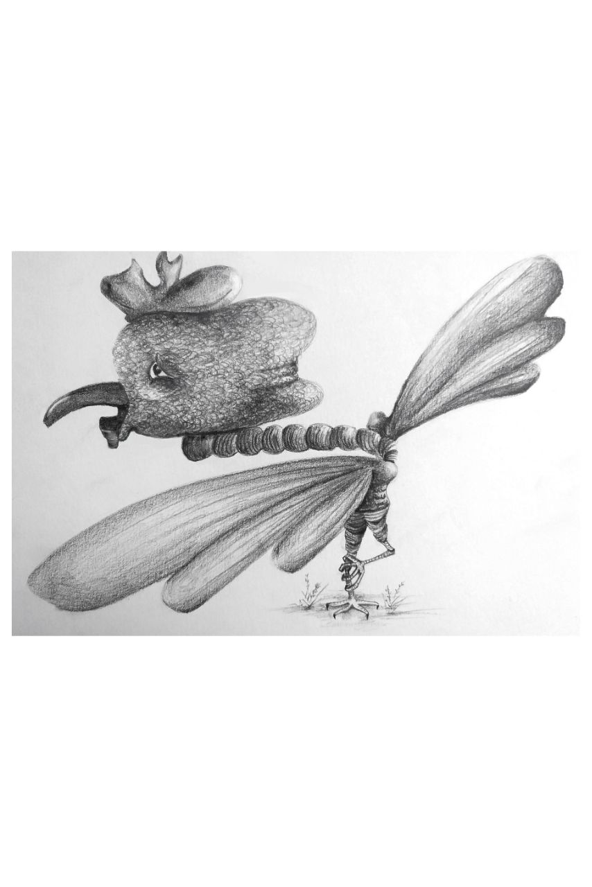 photo_48_2023-12-25_15-11-20